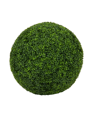 Een dichte, groene, bolvormige Kunstplant Buxus romeinse stijl UV D65cm met kleine blaadjes, geïsoleerd afgebeeld op een effen witte achtergrond.