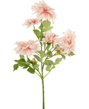 Een enkele stengel Kunstbloem Dahlia 68 cm roze heeft meerdere lichtroze dahlia bloemen en groene bladeren, geïsoleerd op een witte achtergrond.