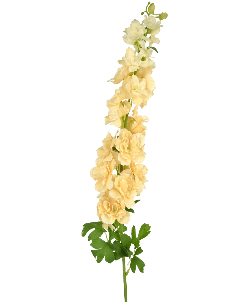 Eine einzelne künstliche Blume Delphinium 105 cm cremefarben mit mehreren hellgelben Blüten und grünen Blättern, vor einem schlichten weißen Hintergrund.