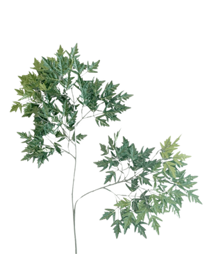 Das künstliche Blatt Ming Aralia 50 cm grün feuerhemmend ist eine hohe, schlanke Kunstpflanze mit dünnen Stielen und Büscheln grüner Blätter mit gezackten Rändern vor einem schlichten weißen Hintergrund.