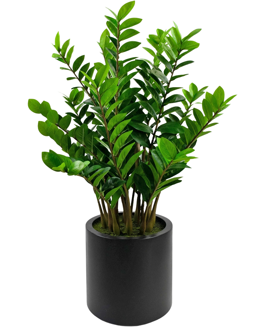 Die fertige Kunstpflanze Zamioculcas im schwarzen Topf von 120 cm hat glänzend grüne Blätter und steht in einem schlichten, runden schwarzen Topf vor weißem Hintergrund.