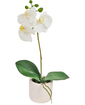 De Kunst Orchidee Real Touch 30 cm wit heeft een enkele steel met verschillende witte bloemen, groene knoppen en brede groene bladeren aan de basis, allemaal in een kleine witte pot voor een realistisch tintje.