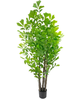 De Kunstplant Fishtailpalm 210 cm heeft weelderig groen blad met meerdere lange stelen en brede, puntige bladeren in een kleine zwarte pot, tegen een witte achtergrond.