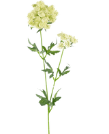 De Kunstbloem Kantbloem 76 cm wit is een enkele kunststengel met trosjes kleine, lichtgroen-witte bloemen en gekartelde, diep gelobde groene bladeren, tegen een effen witte achtergrond.