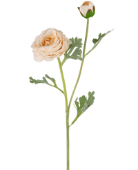 Künstliche Ranunkel Real Touch Creme 60cm