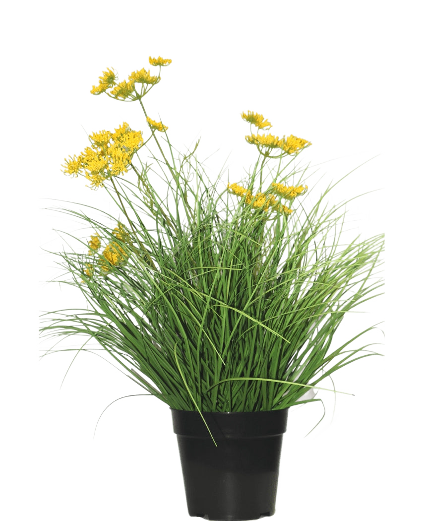 Die feuerhemmende Kunstrasenpflanze Asteraceae 50 cm hat lange, dünne grüne Blätter und kleine gelbe Blüten in einem schwarzen Topf, der für ein grünes Aussehen sorgt – perfekter Kunstrasen im Zuhause vor einem schlichten weißen Hintergrund.