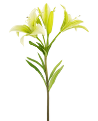Künstliche Blume Asiatische Lilie 66 cm weiß