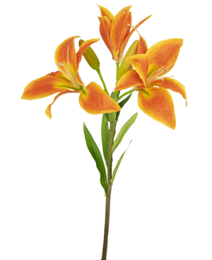De Kunstbloem Aziatische Lelie 66 cm oranje heeft vier bloeiende oranje lelies en een gesloten knop met lange groene bladeren, prachtig tegen een witte achtergrond.