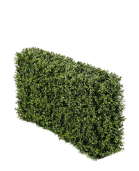 Künstliche Buchsbaumhecke 100x20x50 cm UV