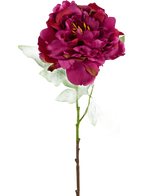 De Kunstbloem Pioen 61 cm roze is een kunstmatige donkerroze pioenroos met gelaagde bloemblaadjes, groene bladeren en een lange steel, afgebeeld tegen een effen witte achtergrond.
