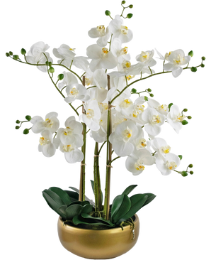 De Kunst Orchidee Real Touch 50 cm wit heeft witte orchideeënbloemen met een geel hart op hoge groene stelen en weelderige groene bladeren, prachtig gerangschikt in een glanzende gouden pot.