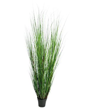 Die Kunstrasenpflanze Zwiebel 170 cm ist eine hohe, feuerhemmende Kunstrasenpflanze mit langen, dünnen grünen Halmen in einem kompakten schwarzen Topf, dargestellt vor einem schlichten weißen Hintergrund.
