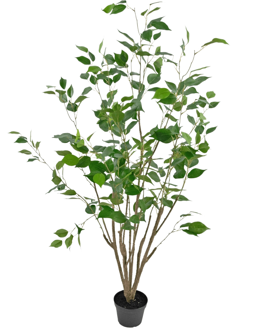 Die Kunstpflanze Ficus 120 cm ist eine hohe Kunstpflanze im Topf mit mehreren schlanken braunen Stielen und üppig grünen Blättern, in einem kompakten schwarzen Topf vor einem schlichten weißen Hintergrund.