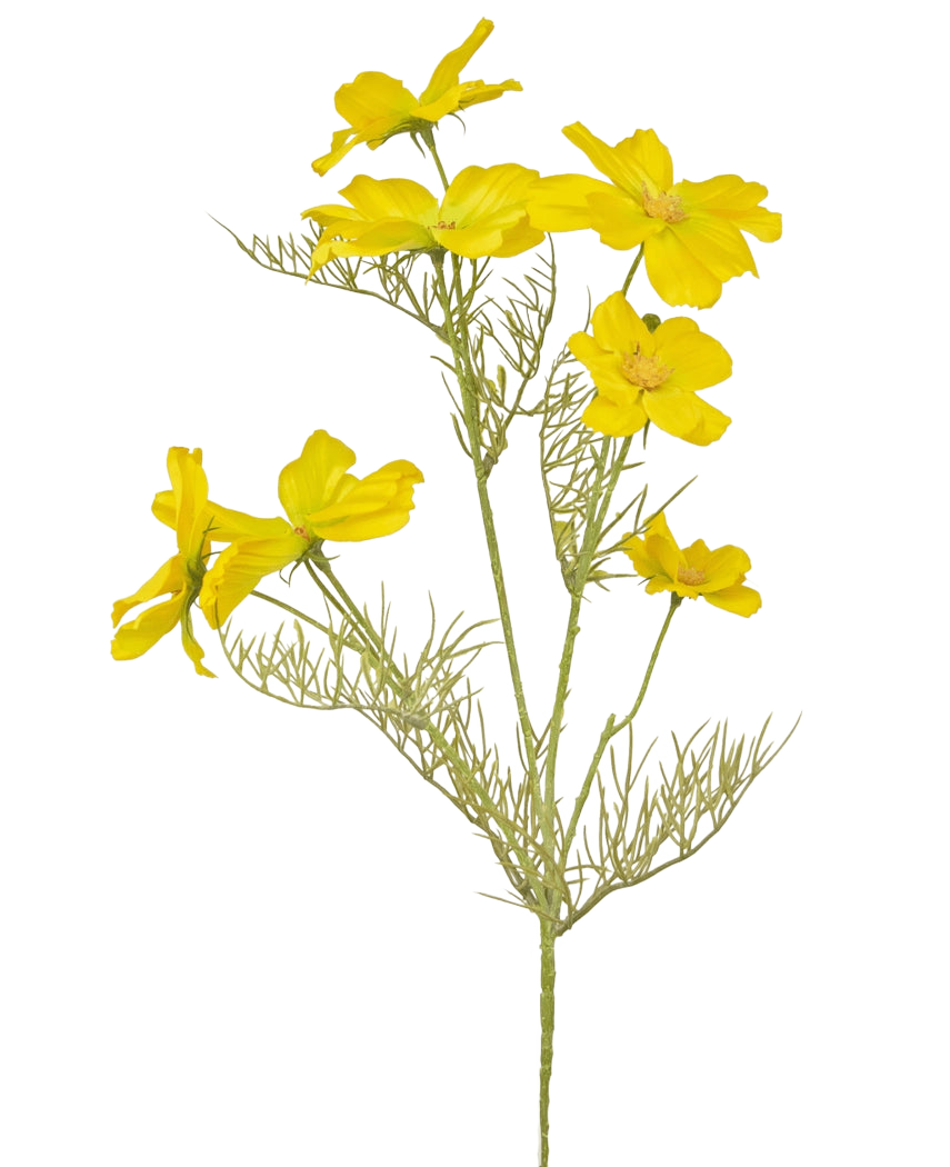 Der künstliche Blumenkörbchen 74 cm gelb hat leuchtend gelbe Blüten und zarte, federgrüne Blätter an schlanken Stielen – perfekt für die Gestaltung eines Blumenstraußes vor einem schlichten weißen Hintergrund.
