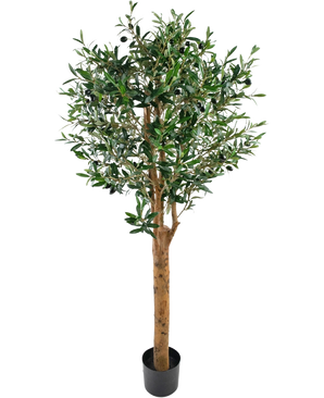De Kunst olijfboom UV 155 cm is een Easyplants kunstplant in pot met een hoge bruine stam, dichte groene bladeren en kleine zwarte olijven, elegant tegen een effen witte achtergrond.