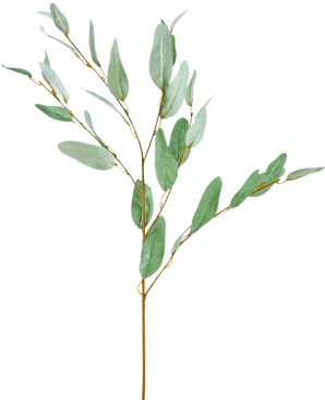 De Kunsttak Eucalyptus 86 cm groen heeft een enkele decoratieve eucalyptustak met slanke groene zijden bladeren en dunne bruine stengels, geïsoleerd afgebeeld op een witte achtergrond.