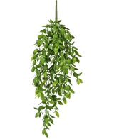 De Kunst hangplant Gardenia 61 cm is een kunst hangplant met weelderige, groene bladeren en een enkele zichtbare stengel, tegen een effen witte achtergrond.
