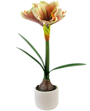 De Kunstbloem Amaryllis Real Touch Rood/geel 48 cm heeft een realistische amaryllis met lange groene bladeren en een grote roodgele bloem, in een compacte witte pot voor een levensechte decoratie.