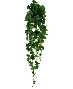 De Kunst Klimop 105 cm groen heeft dichte groene bladeren die naar beneden vallen, waardoor een weelderig, slepend klimopeffect ontstaat tegen een effen witte achtergrond.