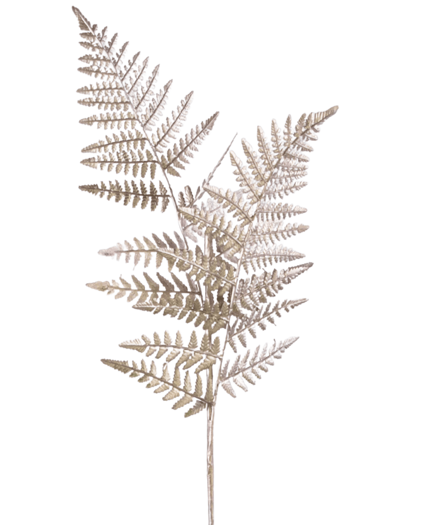 Ein einzelner künstlicher Spargelzweig 125 cm silber, mit hellbraunen, getrockneten, farnartigen Stielen mit feinen, federleichten Blättern, vor einem schlichten weißen Hintergrund.
