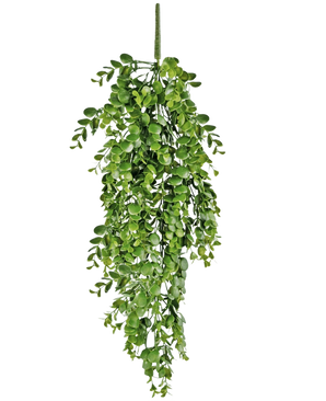 De Kunst hangplant Pannenkoek 61 cm heeft levendige groene kunstbladeren die naar beneden vallen tegen een effen witte achtergrond en lijkt op een echte hangende wingerd.