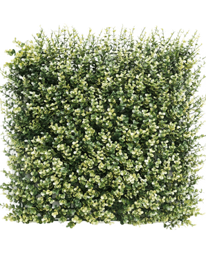 Kunsthaag Buxus beige 50x50 cm UV: Dicht vierkant paneel van kunstgroen met kleine groene en beige bladeren, ontworpen om te lijken op een dikke haag of tuinmuur, tegen een effen witte achtergrond.