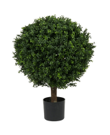 De Kunstplant Buxus op stam romeinse stijl UV 85cm is een ronde, bladgroene kunstboom met dicht gebladerte en een enkele stam, in een eenvoudige zwarte pot tegen een effen witte achtergrond.