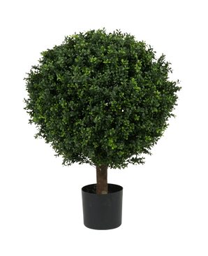 De Kunstplant Buxus op stam romeinse stijl UV 85cm is een ronde, bladgroene kunstboom met dicht gebladerte en een enkele stam, in een eenvoudige zwarte pot tegen een effen witte achtergrond.