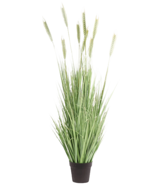 De Kunst Grasplant Groen 150 cm brandvertragend heeft lange, slanke groene bladeren met tarwe-achtige siergras aren, gerangschikt in een kleine zwarte pot en gefotografeerd tegen een witte achtergrond.