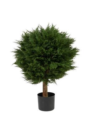 De Kunstplant Conifeer Deluxe UV 80 cm heeft een ronde, dichte groene bladbol op een enkele bruine stam, in een zwarte pot en tegen een effen witte achtergrond.