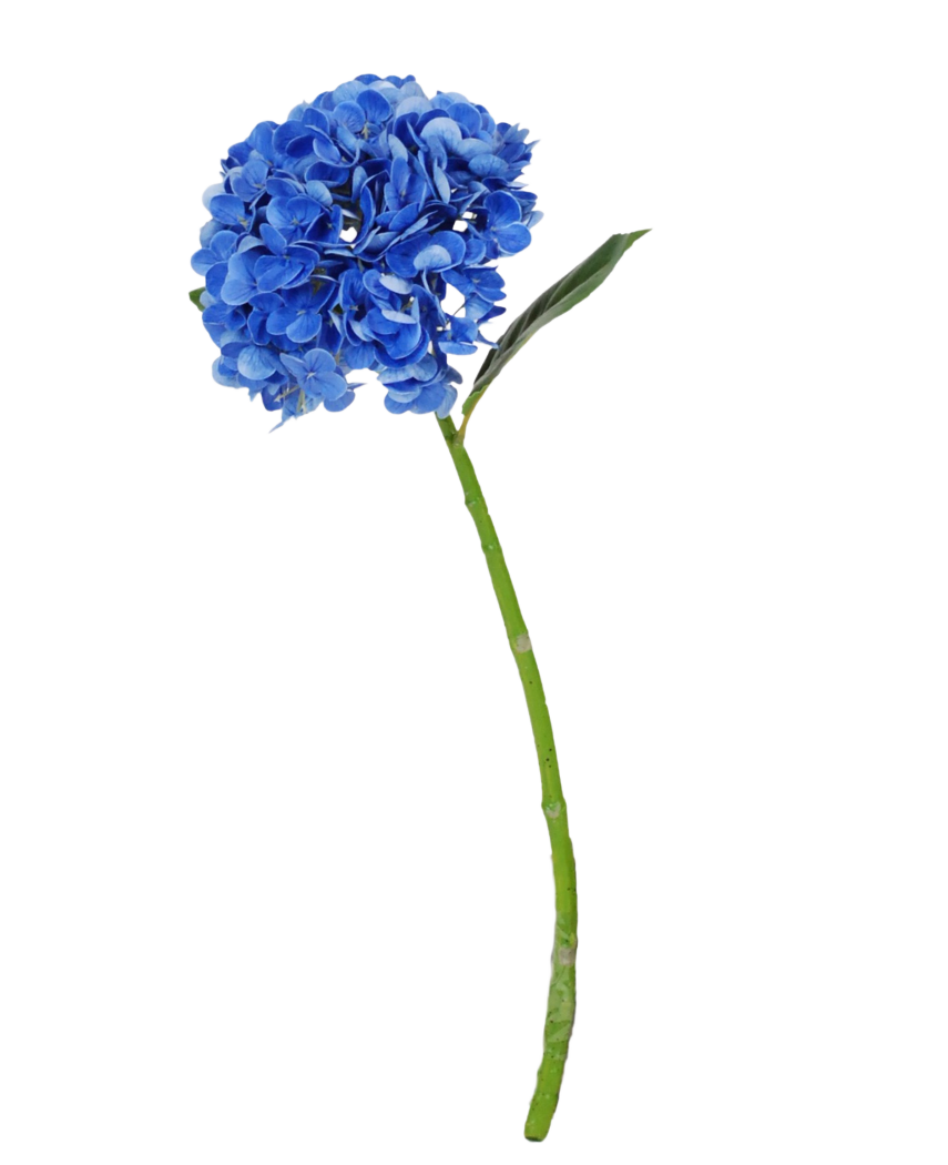 Die künstliche Blume Charlotte Hydrangea Real Touch dunkelblau ist eine einzelne blaue künstliche Hortensie mit grünem Stiel und Blättern, 55 cm hoch, isoliert auf weißem Hintergrund.