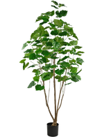 Die Kunstpflanze Ficus 210 cm ist eine hohe Zimmerpflanze in einem Topf mit mehreren schlanken braunen Stielen und üppigen großen grünen Blättern vor einem schlichten weißen Hintergrund.