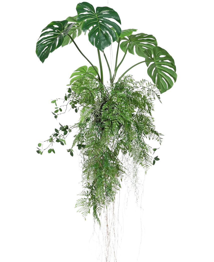 Die künstliche Hängepflanze Monstera/Farnball 100 cm XL besteht aus üppig grünen Monstera-Blättern und Farnen mit langen, nachhängenden Ranken und Wurzeln, perfekt, um jedem Raum vor einem weißen Hintergrund mehr Grün zu verleihen.