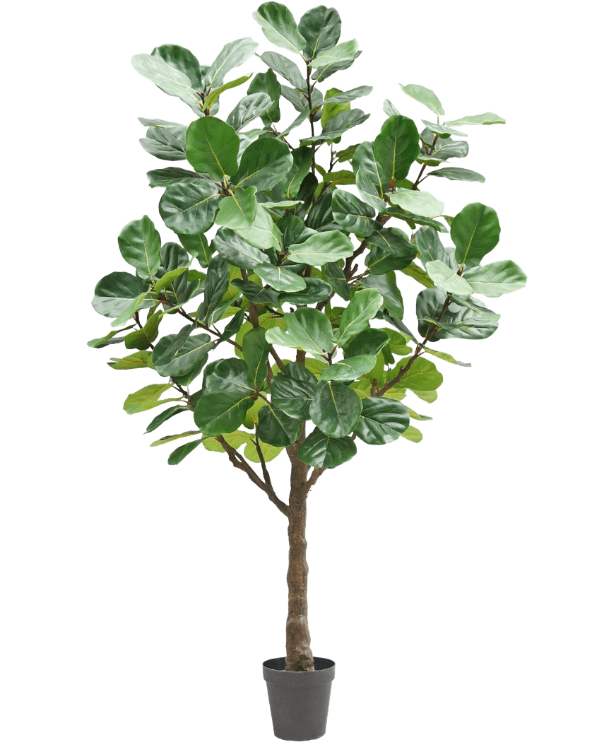 Die Kunstbaum-Tabakpflanze 270 cm ist ein hoher Kunstbaum mit üppigen, großen grünen Blättern und einem kräftigen braunen Stamm, in einem kleinen schwarzen Topf vor einem schlichten weißen Hintergrund.
