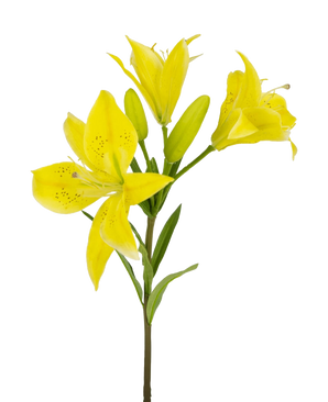 De Kunstbloem Aziatische Lelie 66 cm geel heeft een steel met meerdere bloeiende gele lelies en ongeopende knoppen, puntige bloemblaadjes met donkere spikkels in het midden en groene bladeren, allemaal tegen een witte achtergrond.