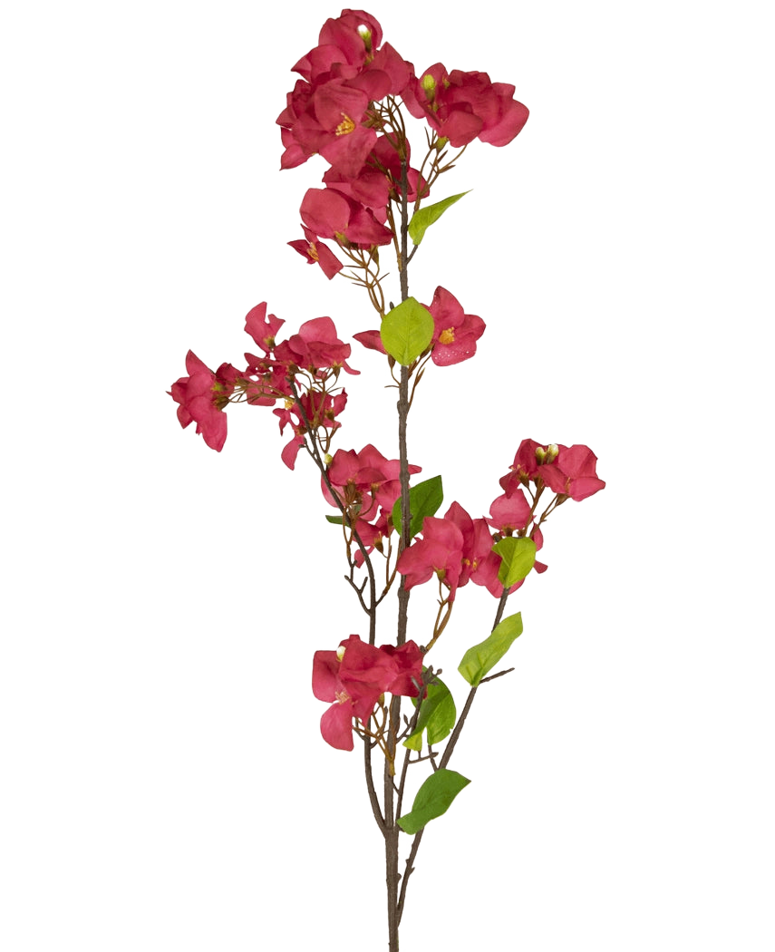 Die künstliche Blume Bougainvillea 120 cm Burgunderrot hat einen einzelnen Stiel mit mehreren tief burgunderroten Kunstblumen und grünen Blättern auf schlanken braunen Zweigen vor einem schlichten weißen Hintergrund.