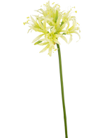 De Kunstbloem Nerine 70 cm groen heeft een lange groene steel met daarop delicate lichtgele en witte lelie-achtige bloemen, perfect als elegant zijde bloem accent in een decoratie vaas tegen een effen witte achtergrond.