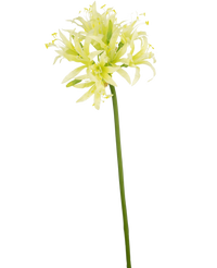 Künstliche Blume Nerine 70 cm grün