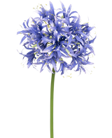 Eine künstliche Nerine-Blume, 70 cm, violett, mit vielen kleinen sternförmigen violetten Blüten in einer kugelförmigen Gruppe auf einem langen grünen Stiel, vor einem schlichten weißen Hintergrund.