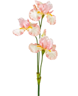 Eine künstliche Irisblume, 102 cm, hellrosa, hat mehrere zarte hellrosa und weiße Rüschen mit gelben Akzenten auf einem schlichten weißen Hintergrund.